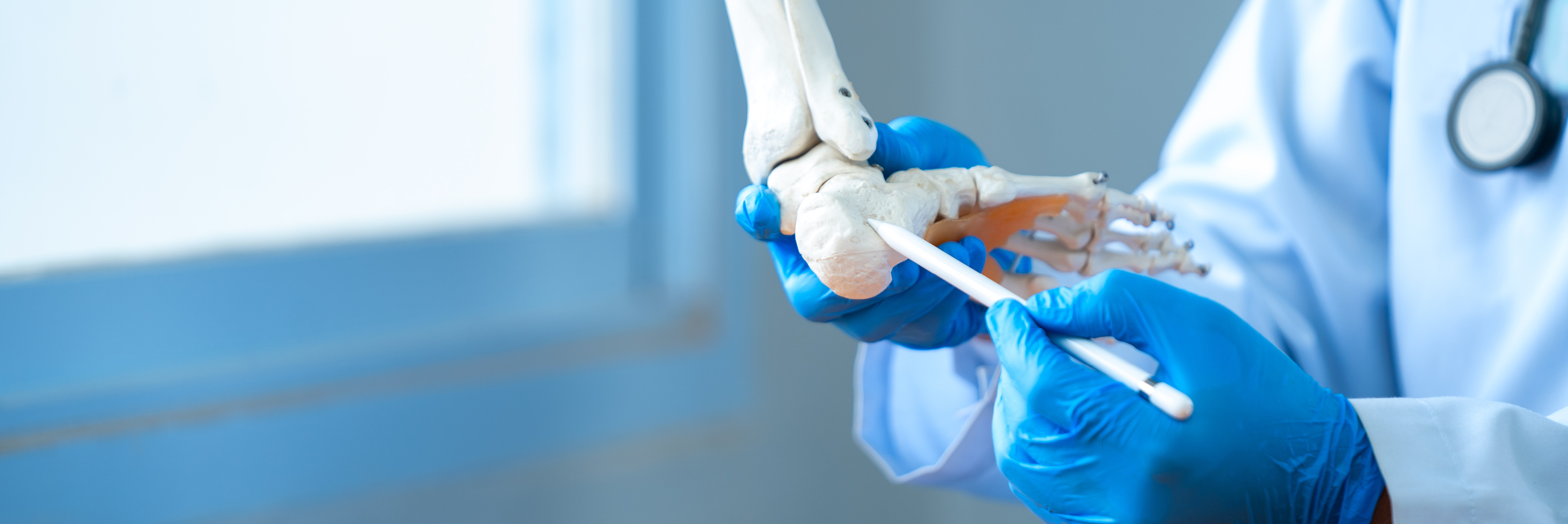 Doctor examining foot bone