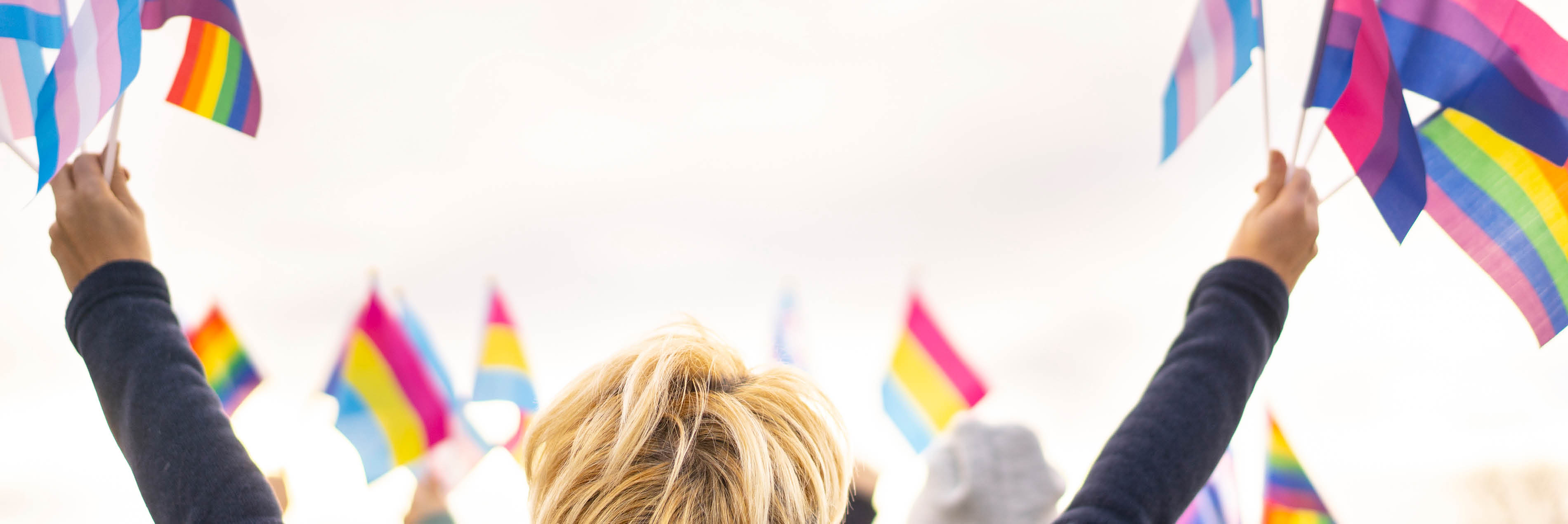 Person holding Pride flags