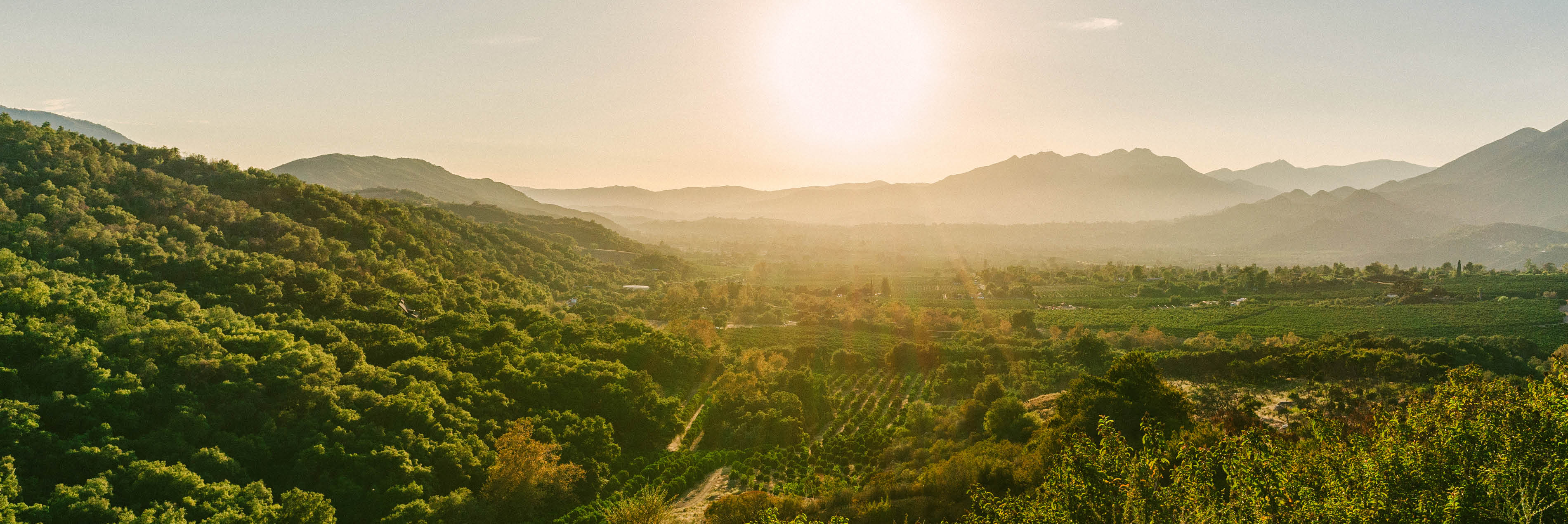 Photo of sun over green fields