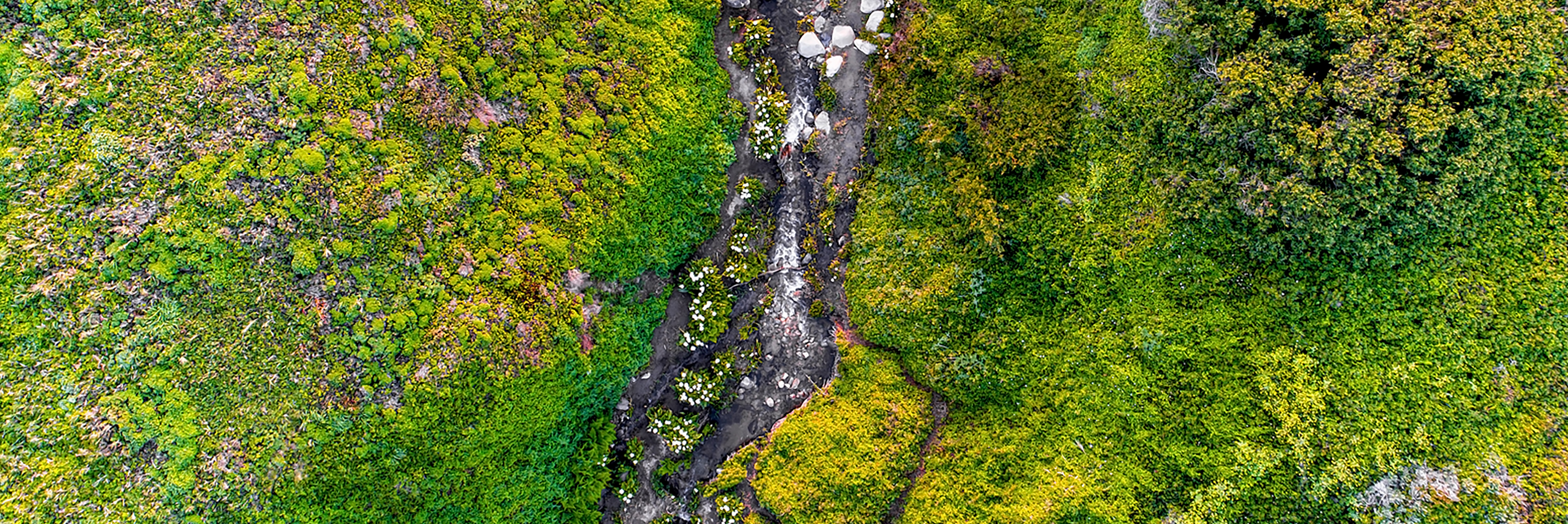 River through Mountains