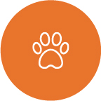 paw print icon