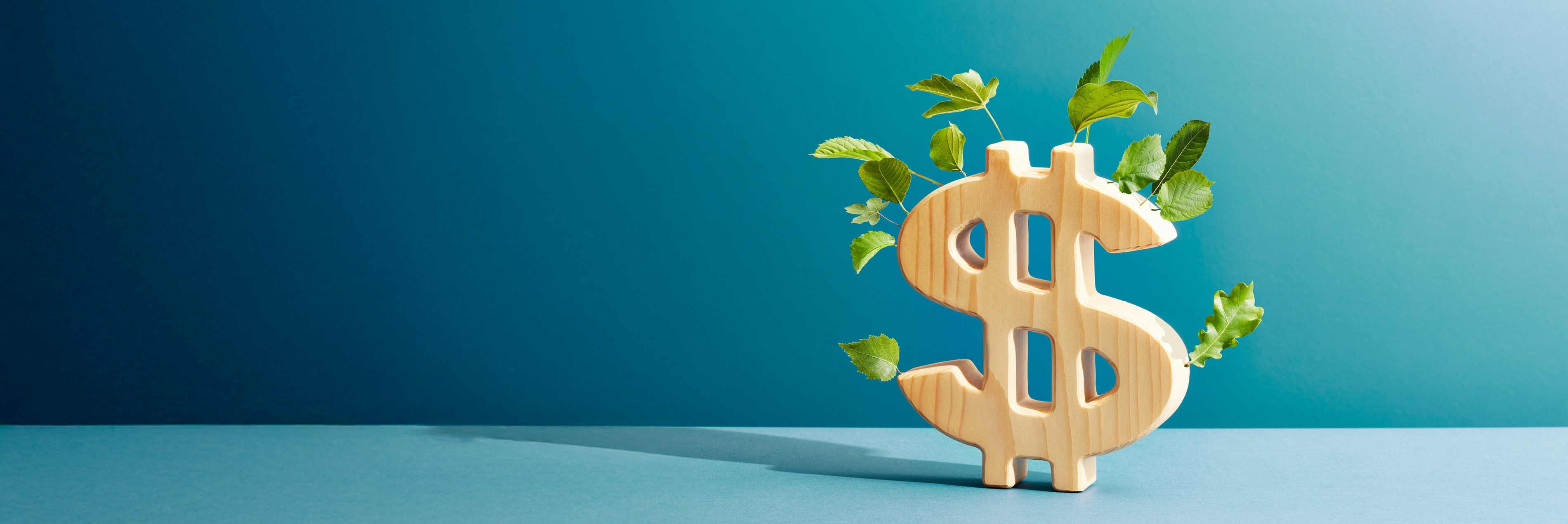 Image of dollar symbol with green plants