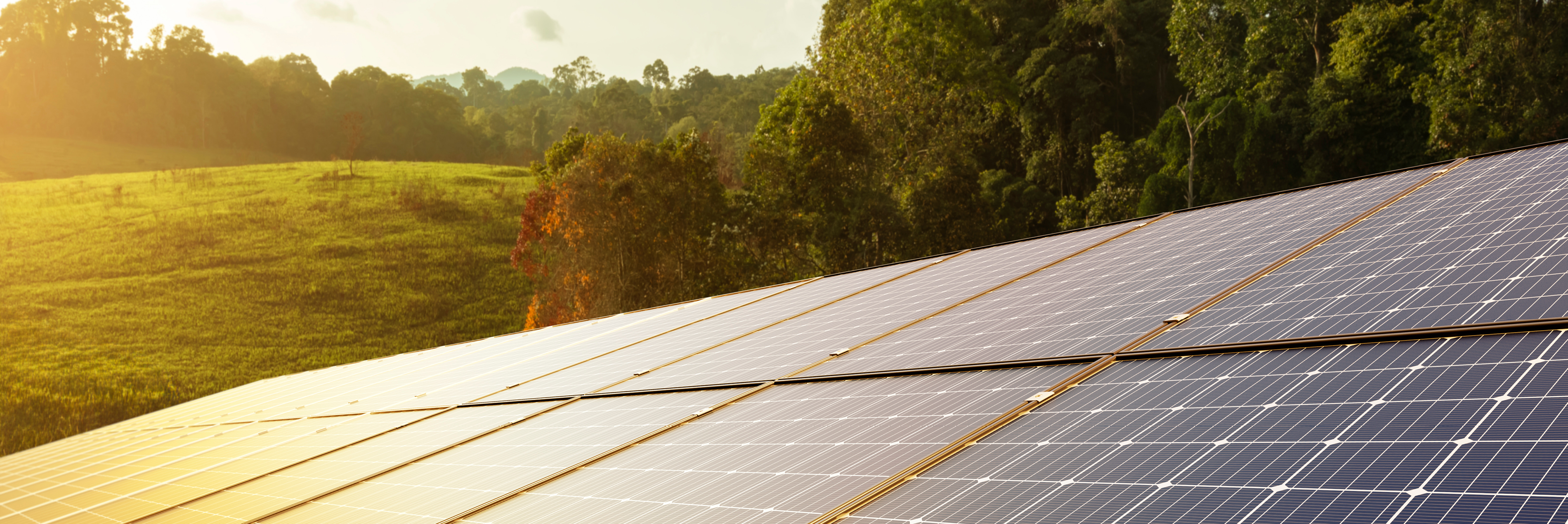 solar panels