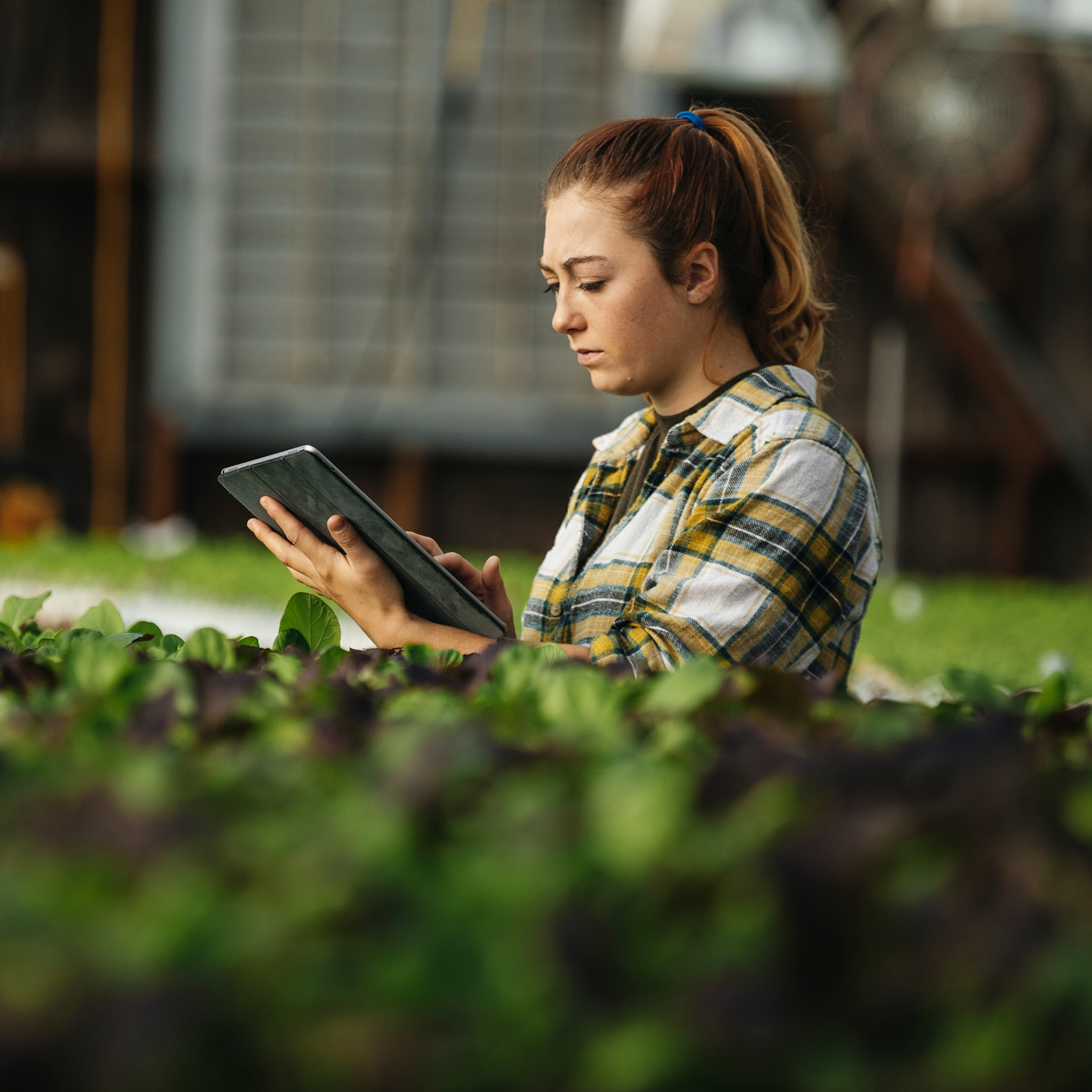 Woman looking at tablet surrounded by plants