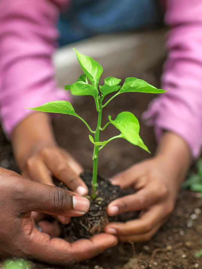 Corporate Social Responsibility