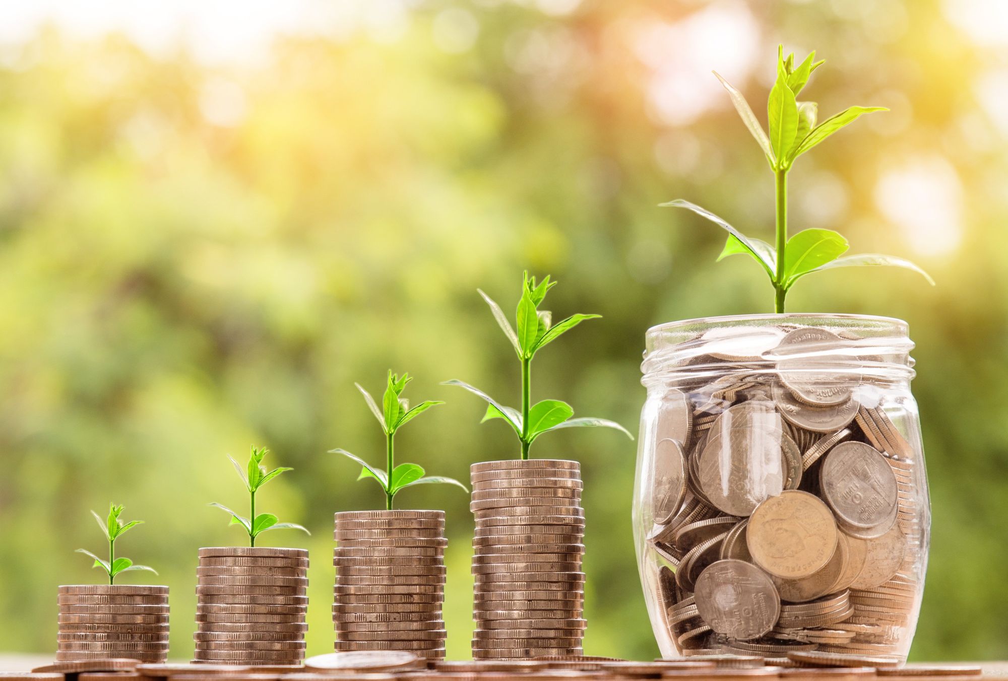 Money coins with plants growing in size